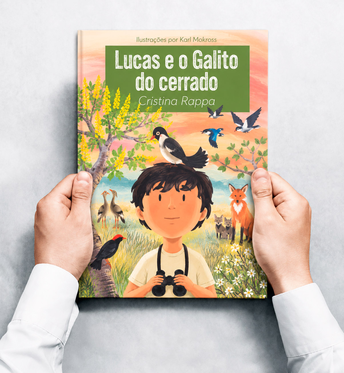 Lucas e o Galito do cerrado